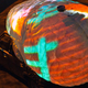 Illustration for article titled Braincar Records Its Journeys For Intense Nighttime Lightshows